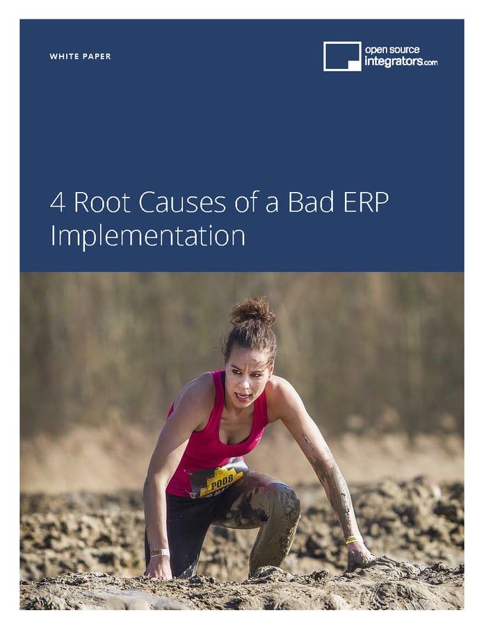 Avoid ERP Implementation Disasters | Free Guide by OSI